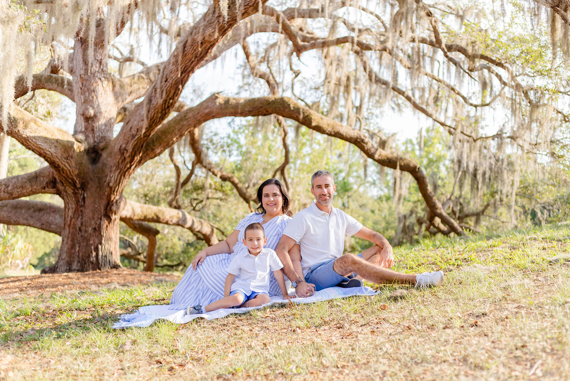 Spanish moss threes and a family siting at a park