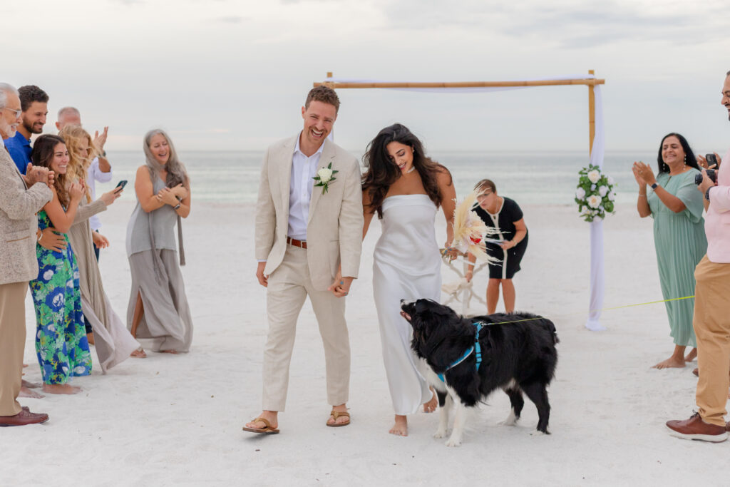 Celebration with Guests and Dog: Siddhi and Zach are celebrating with a kiss surrounded by cheering guests and their dog at their beach wedding.